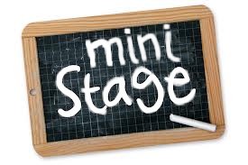 MINISTAGE  2025 -2026